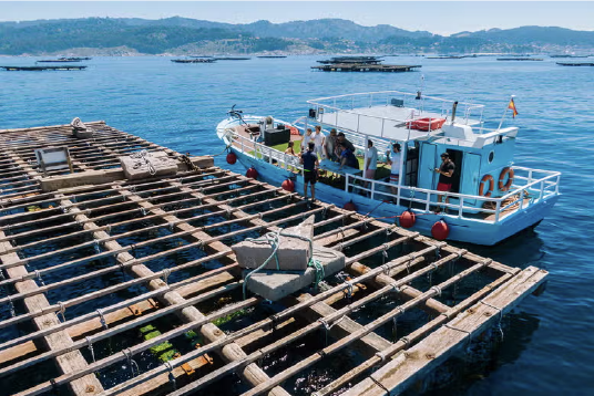 Barco de turismo junto a una batea en la ría de Aldán